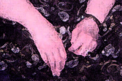 hands