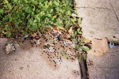  Put the pieces together. 