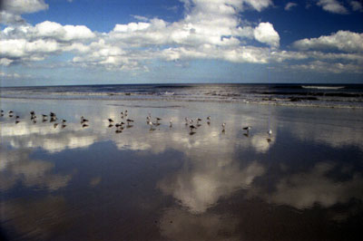 Leave nothing but footprints. Take nothing but photographs.