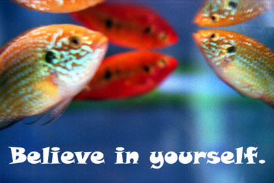  Beleive in yourself. 