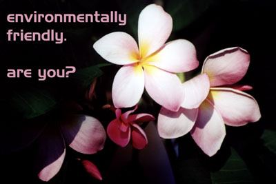  are you environmentally friendly 