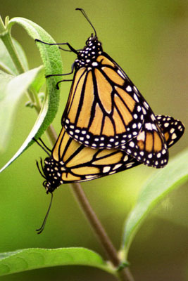  Protect this amazing planet we call home. 