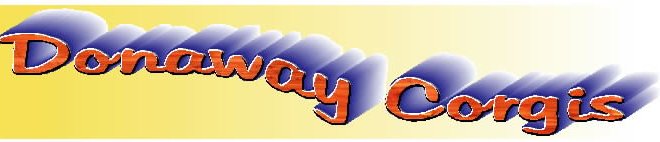 Donaway Corgis
