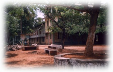 Canteen and auditorium
