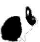 Click to visit The American Rabbit Breeders Association website.