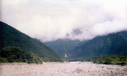 fog-covered mountain