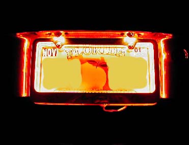 Red licence plate neon