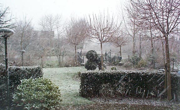 Snowy Feb 99