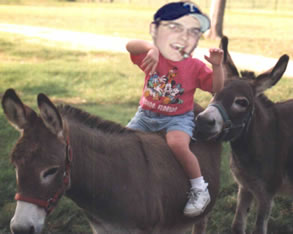 Blanket on a donkey.