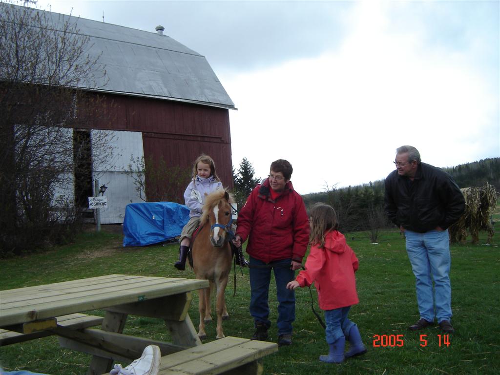 My great grandaughter Camryn McQueen,on pony, at her 5th birthday party at Gammondale farm May 14,2005