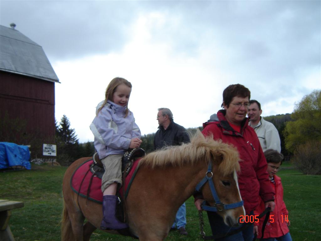 My great grandaughter Camryn McQueen,on pony, at her 5th birthday party at Gammondale farm May 14,2005