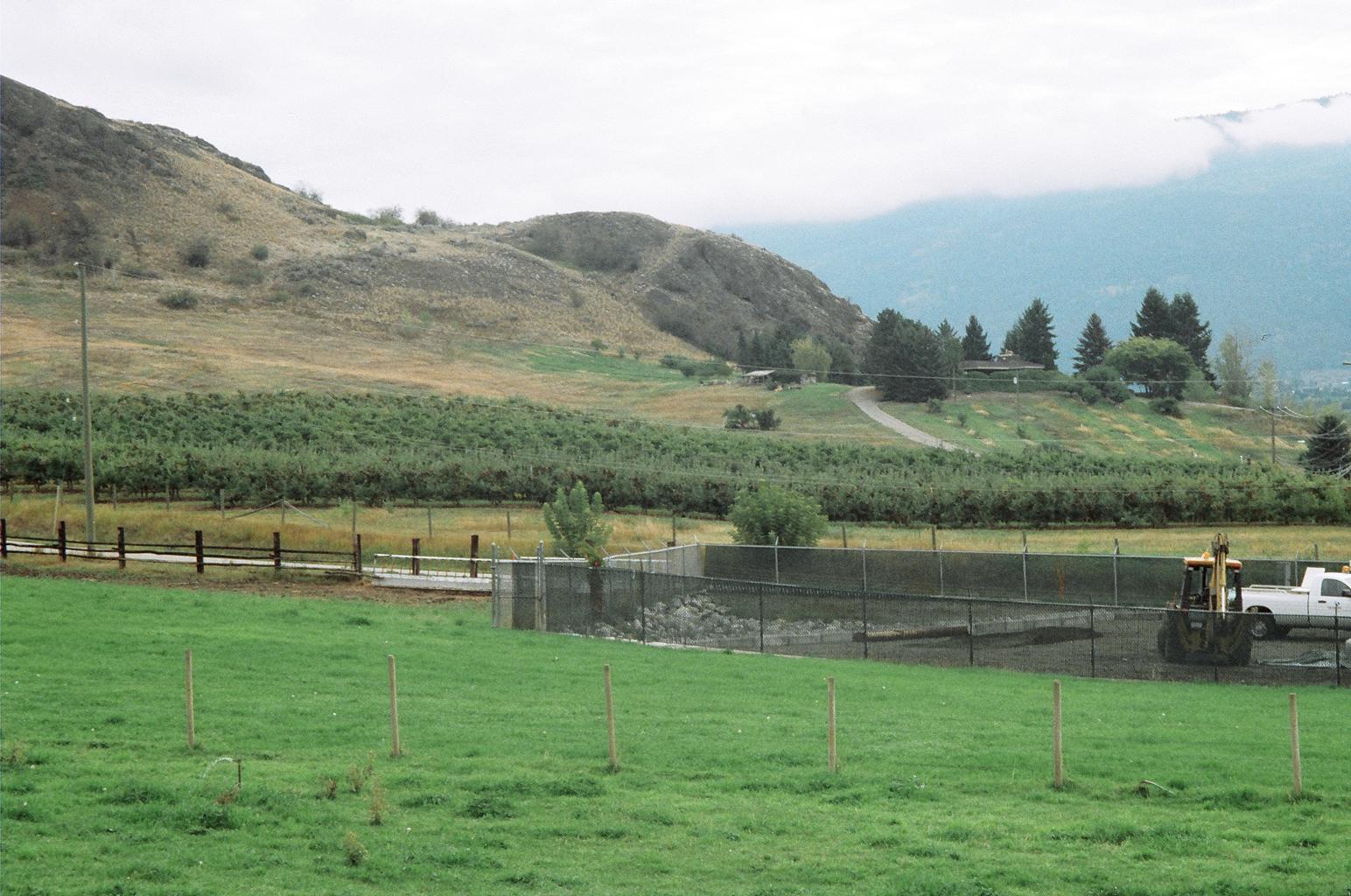 A lush orchard just outside of Vernon BC, Sep.2005.