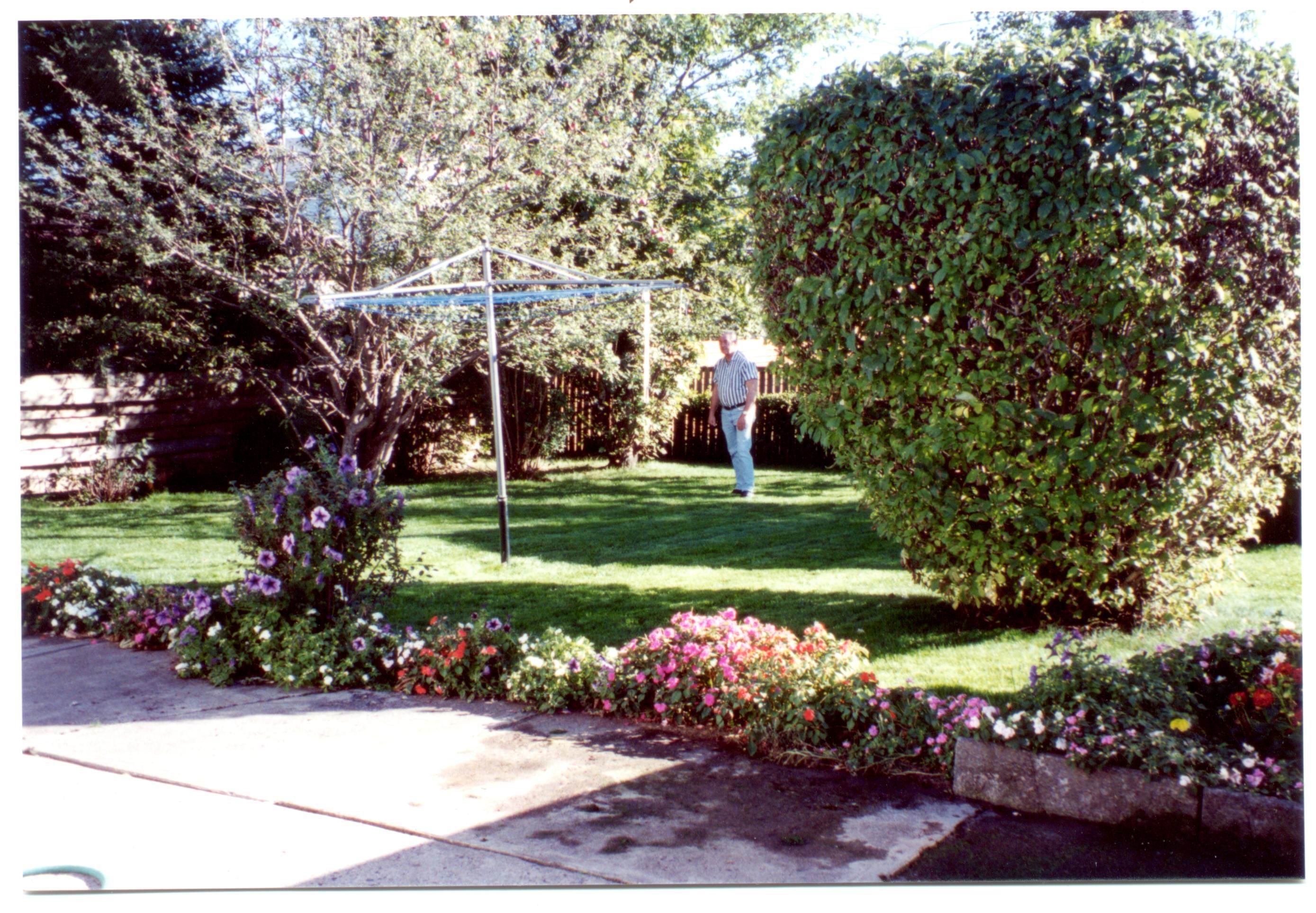 The back yard at 414 Cabot Court July of 1993