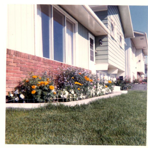 203 Forest Rd. Calgary. This street used to be called 52nd St.,because it was 52 blocks from Center St.(city center, downtown)