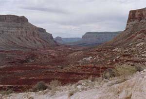 View looking into Havsu Canyon from the trail into Supai.  It is about 7 miles to the town from here, but fortunately today, the Kachinas, the cloud spirits of the nearby Hopu Indians, have brought clouds to cool hikers into the canyon.