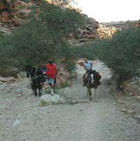 Laura rides a horse out of the canyon, with Fletcher as her guide