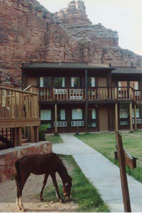 The Havasupai Lodge, smack in the middle of bustling downtown Supai, affords  breathtaking views of the canyon walls surrounding the village, in addition to being centrally located to all of Supai's amenities.