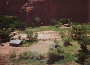 Aerial view of Supai showing homes and crops amid Cottonwood trees which carpet the canyon floors in stark contrast to the deep red rock cliffs which surround the area.