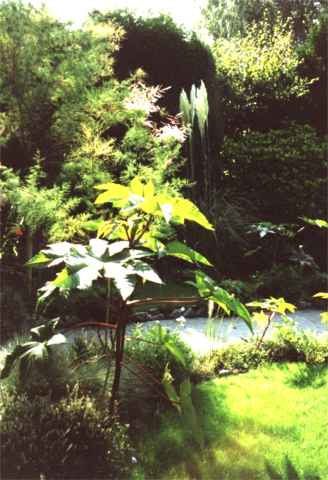 click here to enter the garden