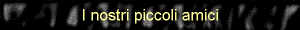 I nostri piccoli amici