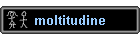 moltitudine
