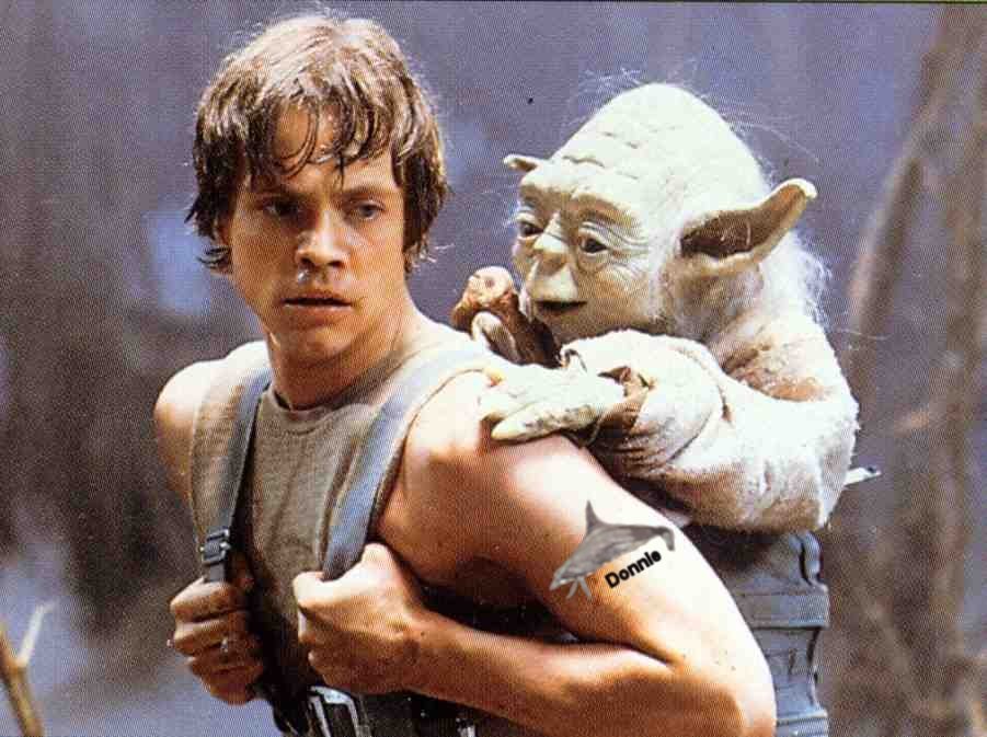 I'm cuter than Yoda, I know it.