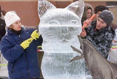 Help, I'm stuck to the ice.....