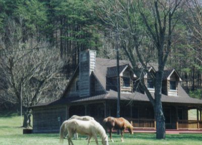 To someone's horses, the grass even looked greener in its yard!&nbsp; 