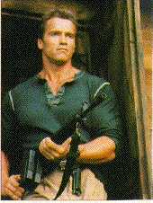 A picture of Arnold