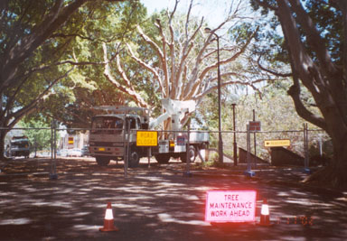 Attention Tree maintenance in Progress