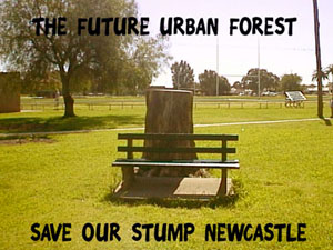 Welcome to the Don't Stump Newcastle Website - Help Stop the Destruction of the Grand Old Trees of Newcastle Australia 