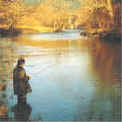 The art of catching fish Fishing.
