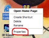IE EXplorer Properties