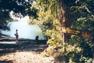 Krokkodilleelv ved Cape Tribulation, Queensland, Australia
