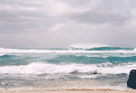 Banzai Pipeline p� Oahu, Hawaii