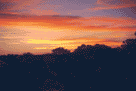 Vakker solnedgang i �kenen i Northern Territory, Australia