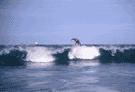 Fin 3-fots b�lge p� Nobbys Beach, Newcastle, Australia
