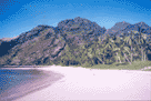 Fantastisk strand "et sted p� Fiji"