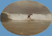 Surfer
