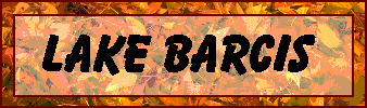 orangebuttonbarcis.gif (10565 bytes)
