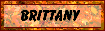 orangebuttonbrittany.gif (10664 bytes)