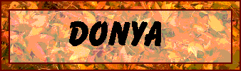 orangebuttondonya.gif (10806 bytes)