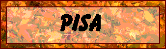 orangebuttonpisa.gif (10898 bytes)