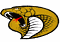 Carolina Cobras