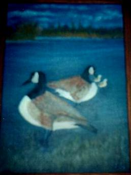 Family of Geese