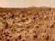Mars Surface