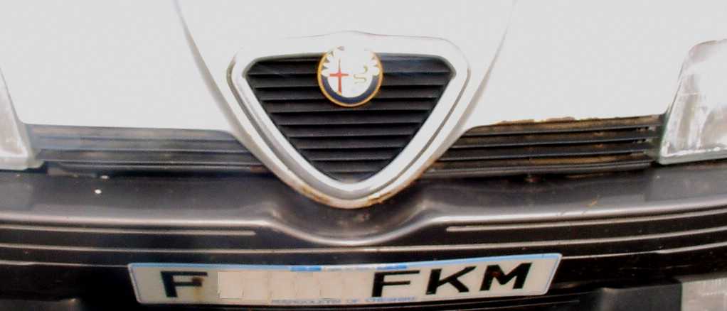 Alfa front