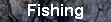 [Fishing]