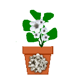 The Site Fights Spirit Flowers