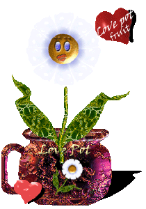 Send someone a Love Pot